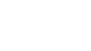 consul